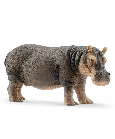 Schleich Hippopotamus - 5.8 cm