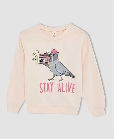 DeFacto Pigeon Sweater - Pink