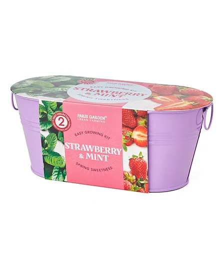 Paris Garden Oval Zinc with Planters & Seed Growing Kit - Strawberry & Mint