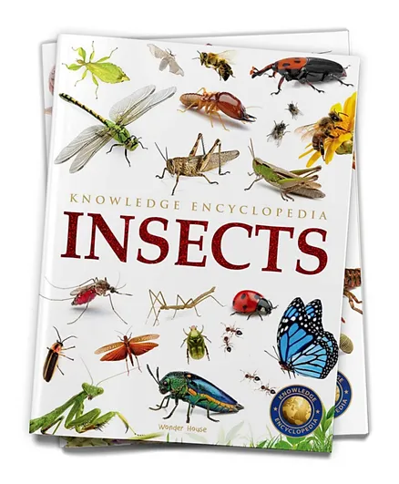 Animals: Insects - English
