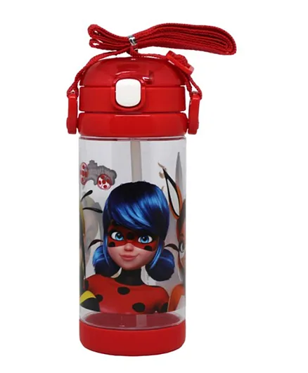 Miraculous Tales of Ladybug & Cat Noir Premium Sequare Water Bottle - 500ml