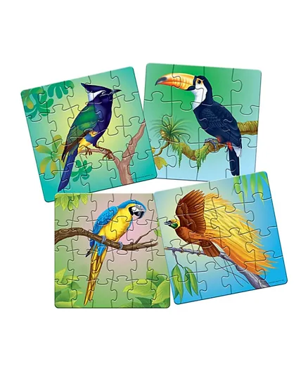 Frank Exotic Birds 4 Pack Puzzle - 72 Pieces