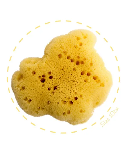Babu Fine Silk Sea Sponge 100% Natural - Size 14