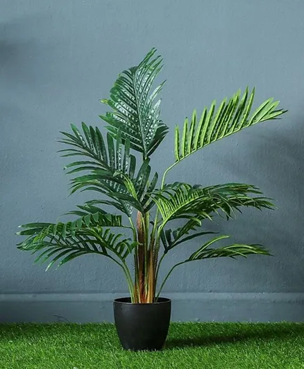 PAN Home Hawaiian Palm Potted Plant - Green