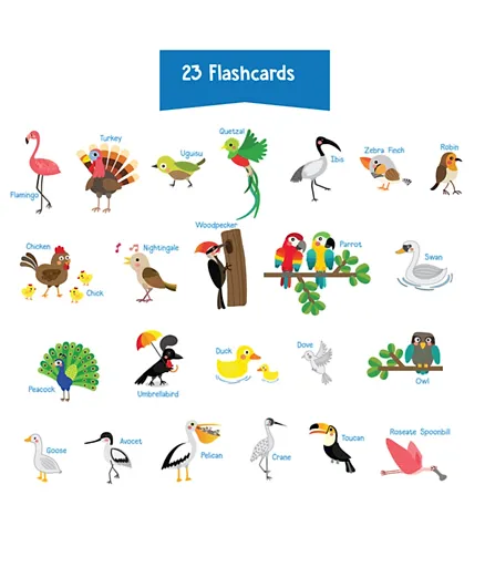 Twinkle Hands Cute Birds Flashcards - Set of 10