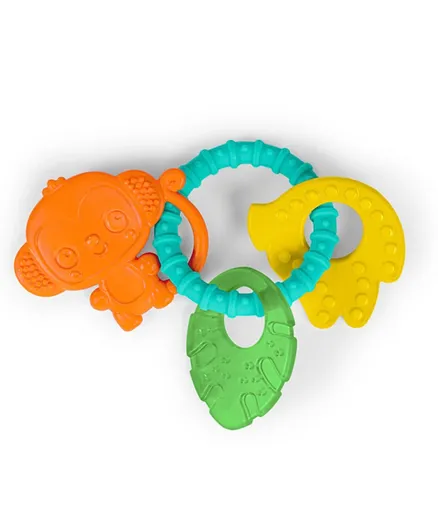 Bright Starts Tropical Chews Teething Ring - Multicolor