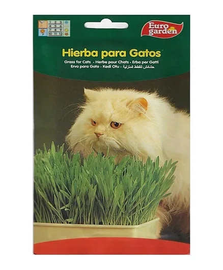 Euro Garden Cat Grass