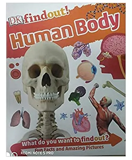 Findout! Human Body - English
