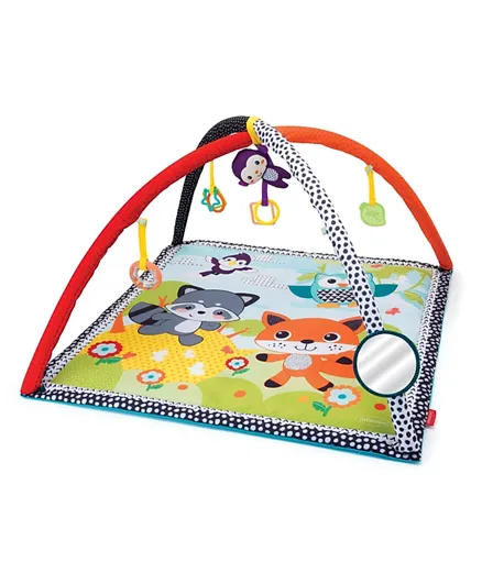 Infantino Pond Pals Activity Play Gym With Mat - Green