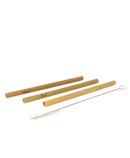 Citron Organic Bamboo Straws and Brush - Pack of 4