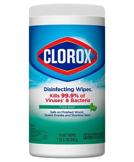 Clorox Disinfecting Fresh Scent Cleaning Wipes Can - 35 Pieces