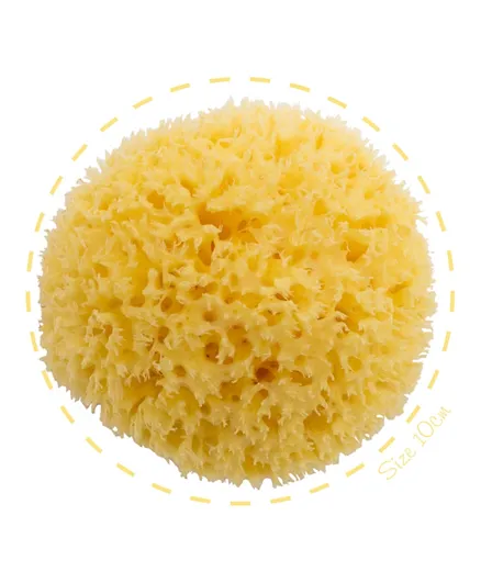 Babu Honeycomb Sea Sponge 100% Natural - Size 10