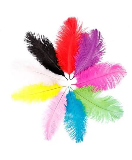 Art & Craft Colorful Feather - Pack of 20