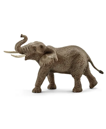 شليش - مجسم فيل إفريقي ذكر- بني