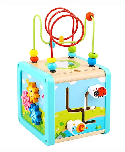 Tooky Toy Wooden Play Cube -Multi Color