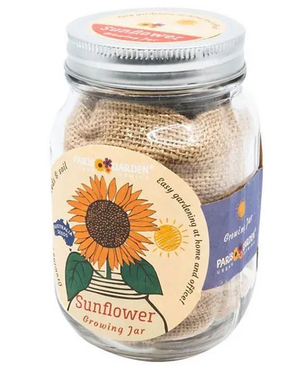 Paris Garden Mason Jar with Planter & Seeds Growing Kit - Sunflower