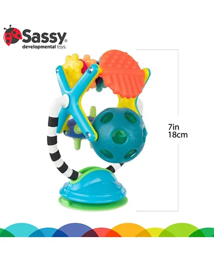 Sassy Teethe & Twirl Sensation Station Toy