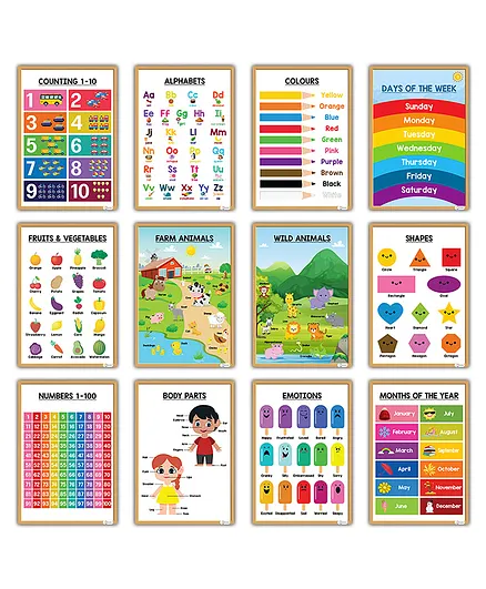 Essen Educational Preschool Posters Learning Charts - Set of 12