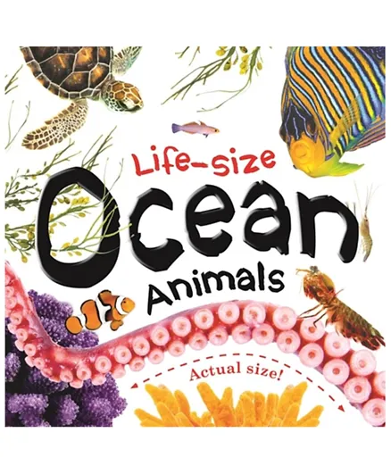 Life-Size Ocean Animals Boards - 12 Pages