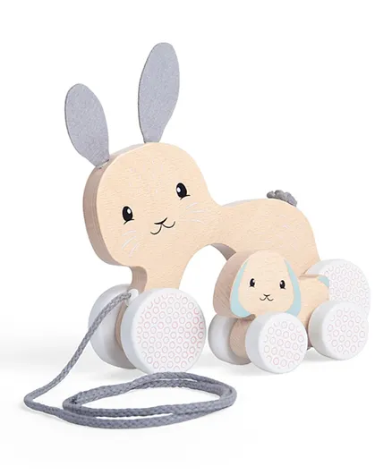 Bigjigs Toys Wooden Bunny & Baby Pull Along
