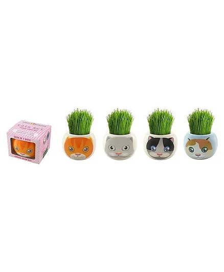 ParisGarden Adopt a Cat Ryegrass Pot - Assorted