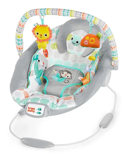 Bright Starts Cradling Bouncer - Whimsical Wild