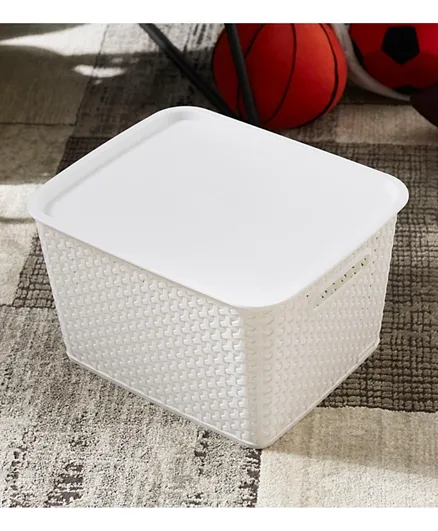 HomeBox Spectra Royal Basket with Lid