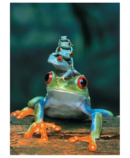 EuroGraphics Red Eyed Tree Frog Puzzle - 1000 Pieces