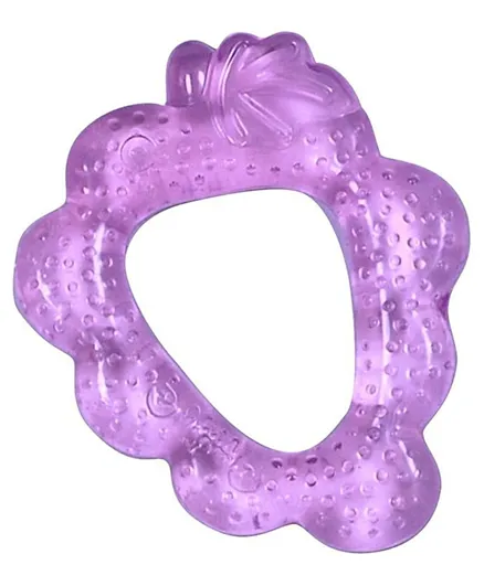 Green Sprouts Cooling Teether Grape - Purple