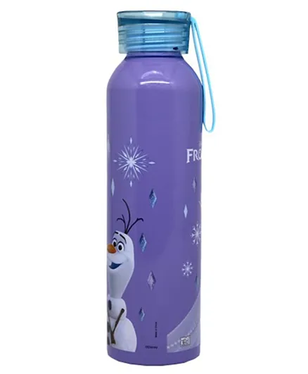 Frozen Aluminum Water Bottle - 500mL