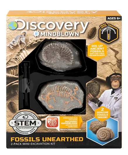 Discovery Toy Excavation Kit Mini Fossil - Multicolor