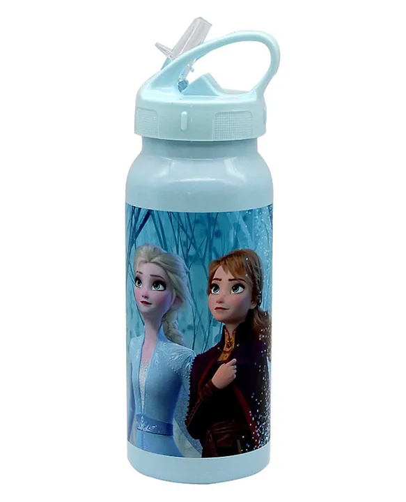 Disney Frozen II Born This Way Stainless Steel Water Bottle Blue Online in  UAE, Buy at Best Price from  - 034deae884922
