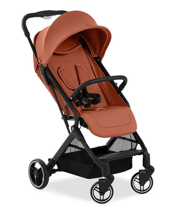 Buggy up to 25kg on sale