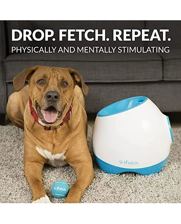 Ifetch pet shop toy